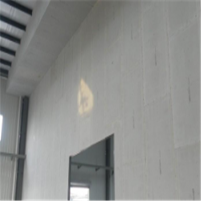 武宁宁波ALC板|EPS加气板隔墙与混凝土整浇联接的实验研讨